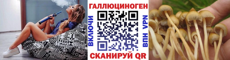 Галлюциногенные грибы MAGIC MUSHROOMS  Котельниково 
